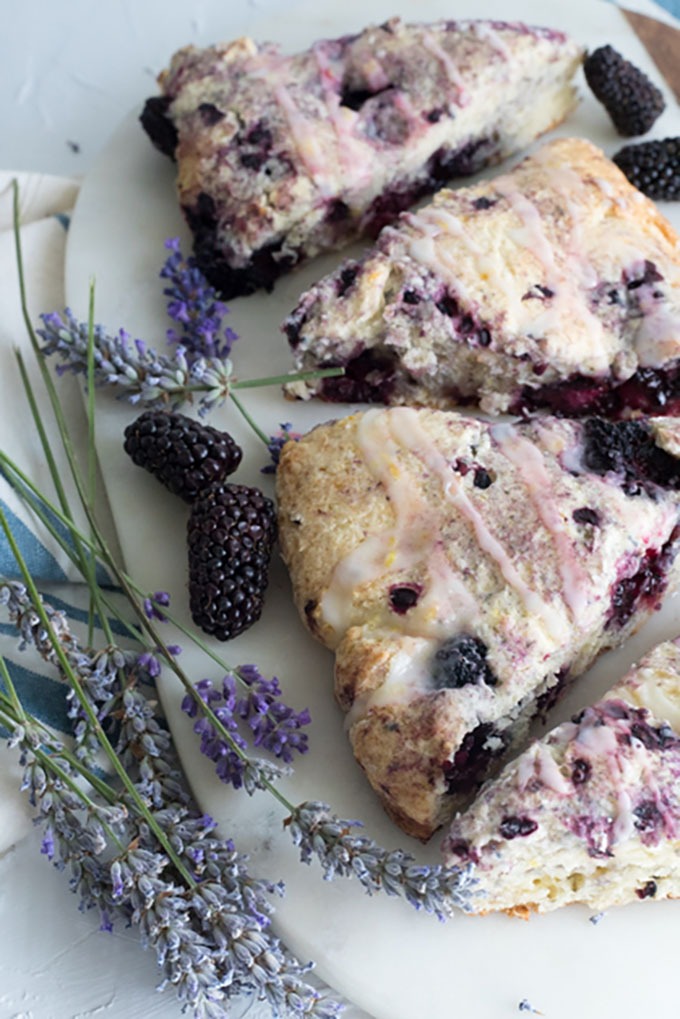Lavender Blackberry Scones: A Delightful Twist on Tradition - Cookbook by Alicia Lavender Blackberry Scones: A Delightful Twist on Tradition