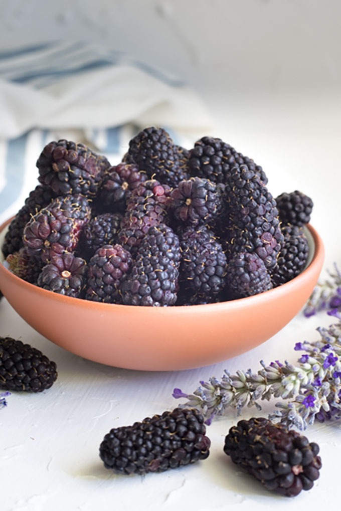 blackberries in a white and brown bowl, surrounded by fresh lavender