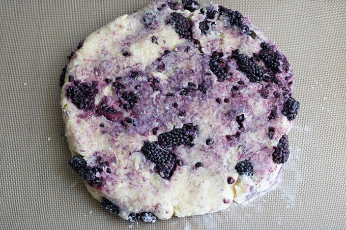 blackberry scone batter shaped into a disc on baking tray