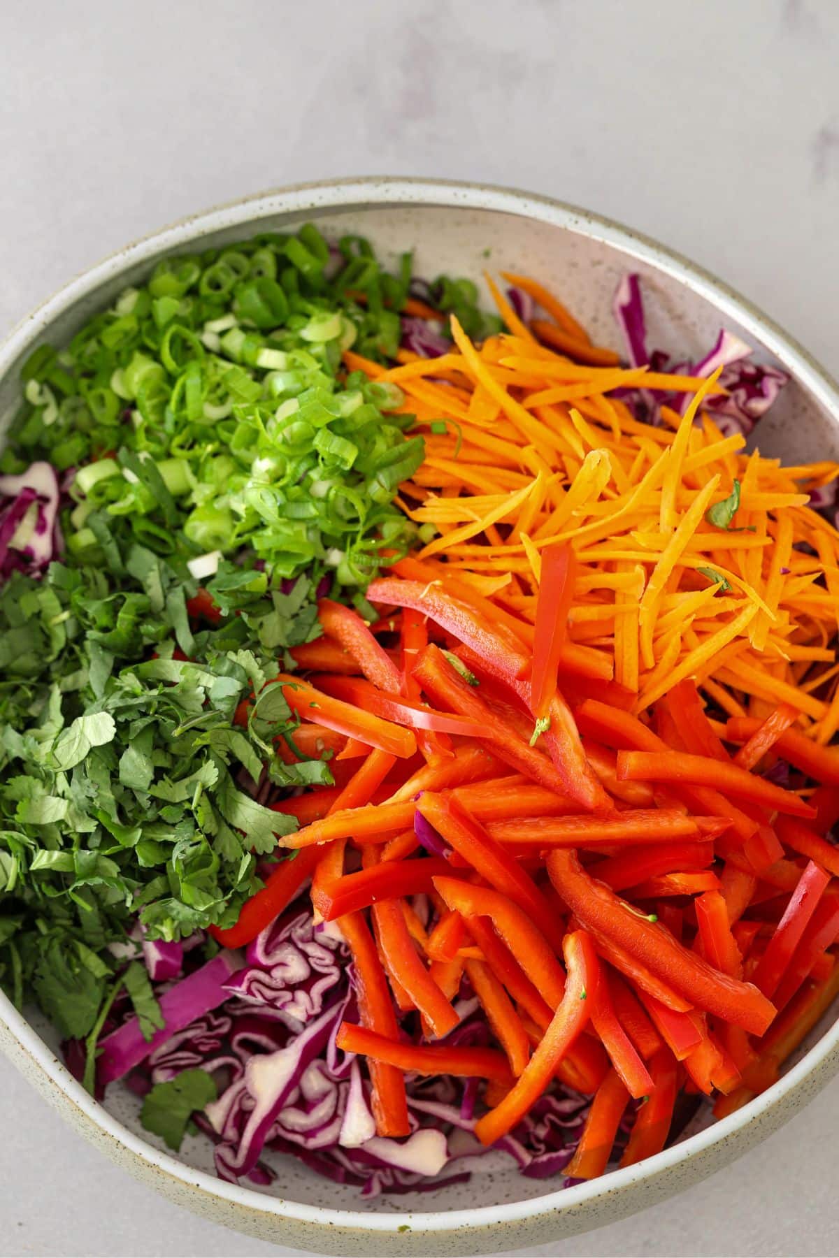 all noodle ingredients in a salad bowl