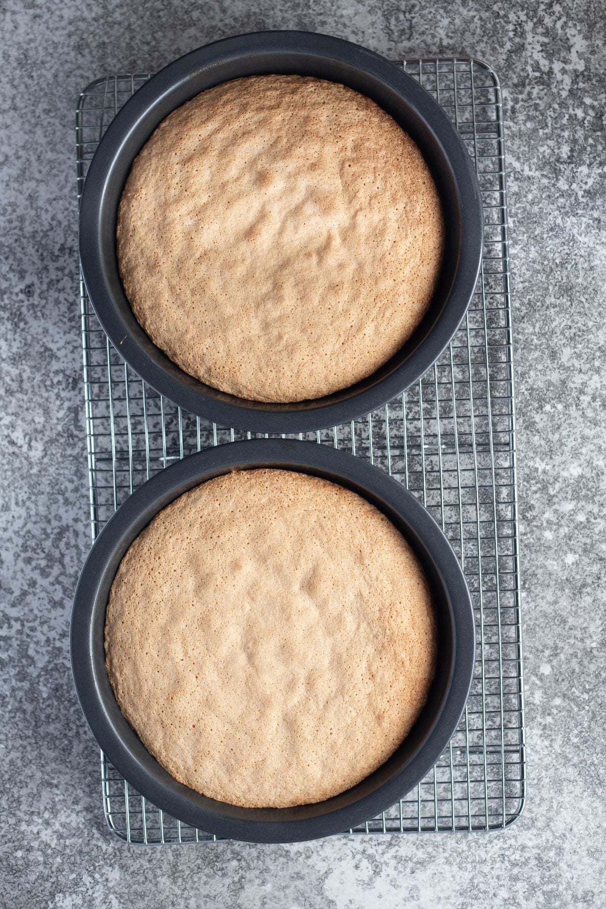 two baked cakes sitting in tins on a wire rack.