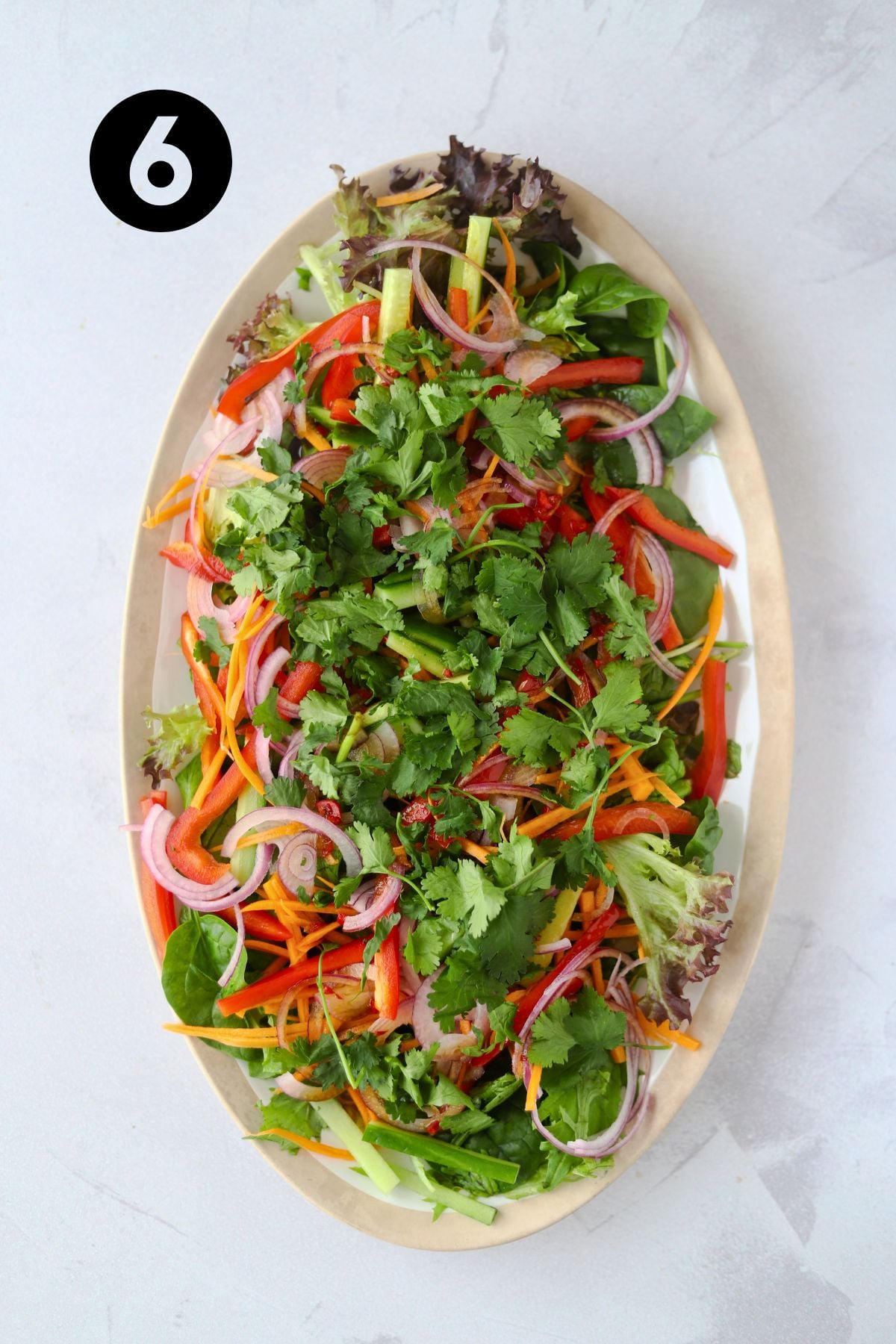 Cilantro added to the salad.